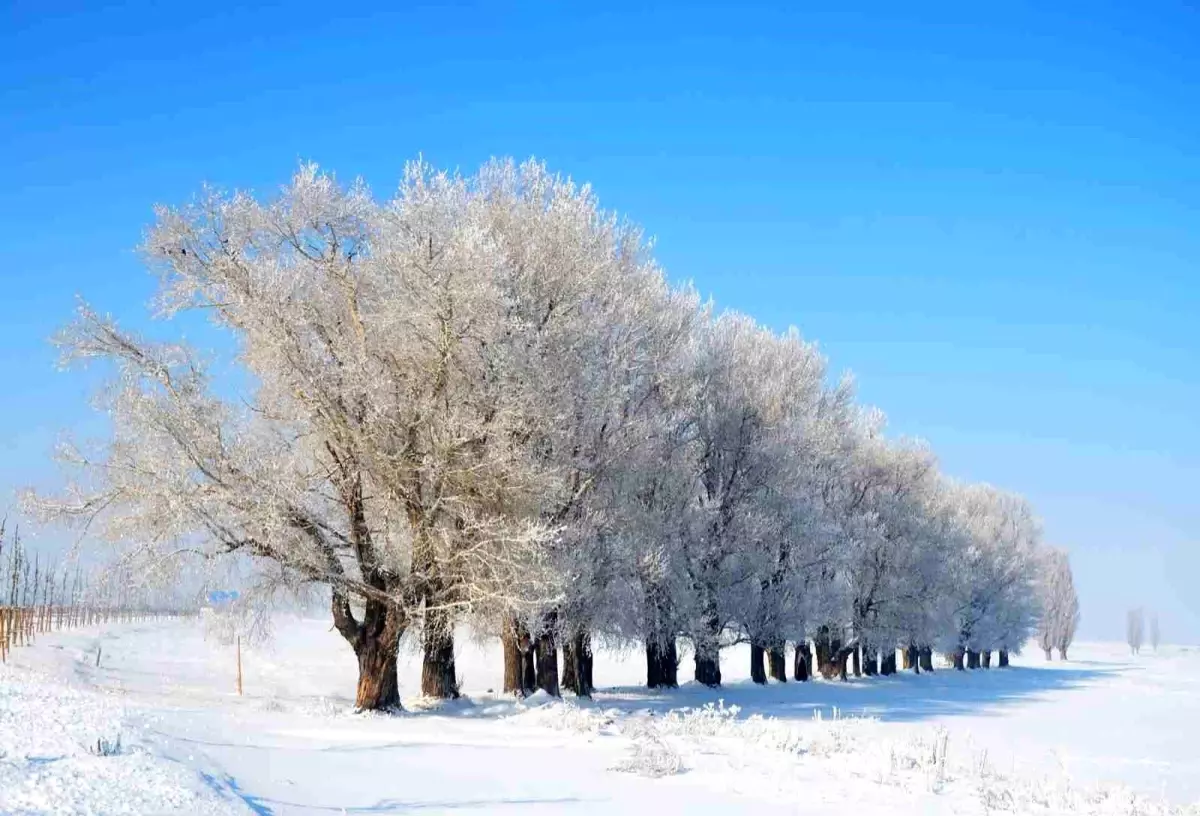 Erzurum’da Soğuk Hava ve Buzlanma Uyarısı